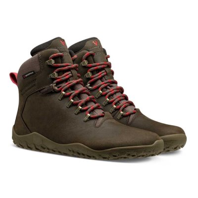Chaussure Running Road Vivobarefoot Tracker II Firm Ground Femme - Marron UMI986513